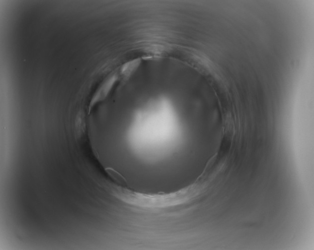 X0000089700043200707051651