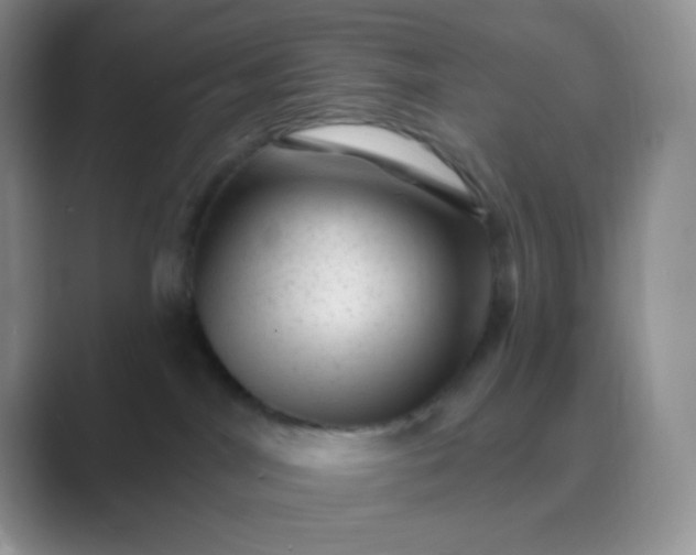 X0000089700044200707051651