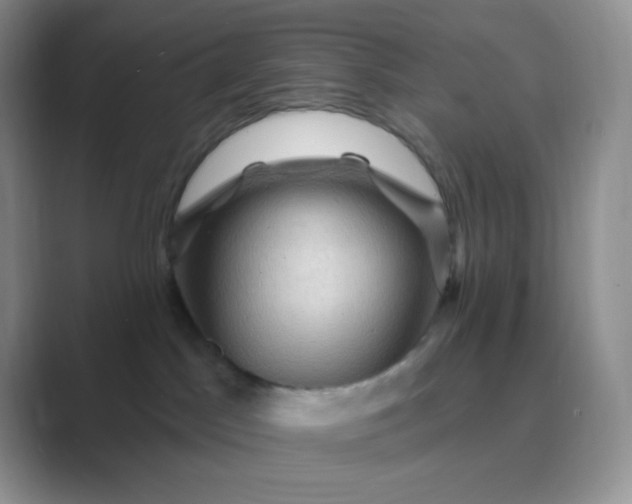 X0000089700045200707051651