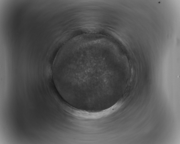 X0000089700048200707051651