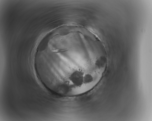 X0000089700049200707051651