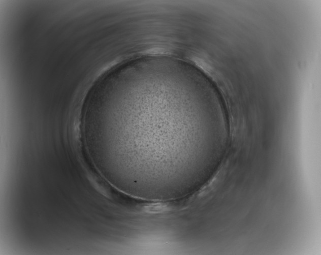 X0000089700050200707051651