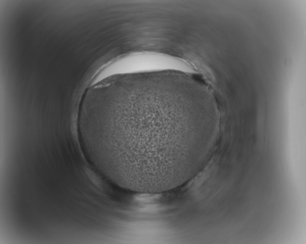 X0000089700051200707051651