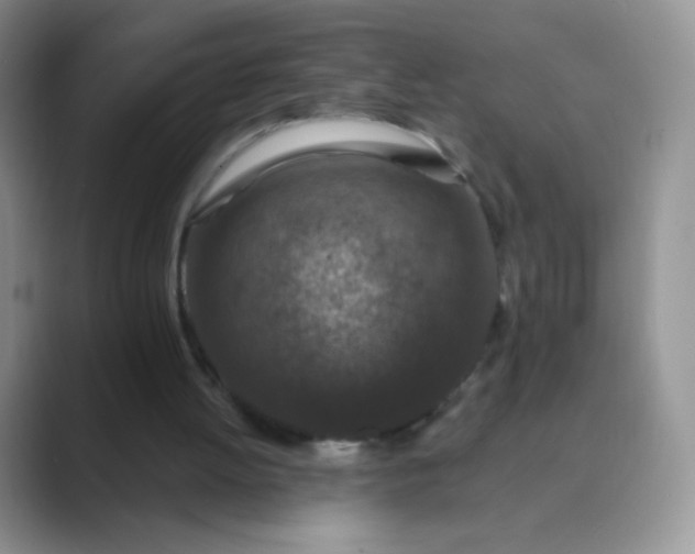 X0000089700052200707051651