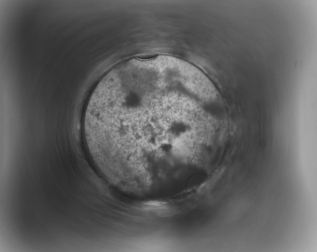 X0000089700053200707051651