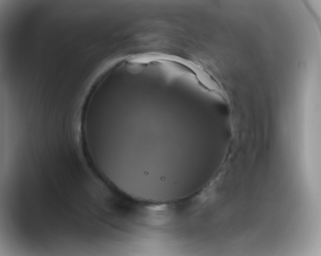 X0000089700054200707051651