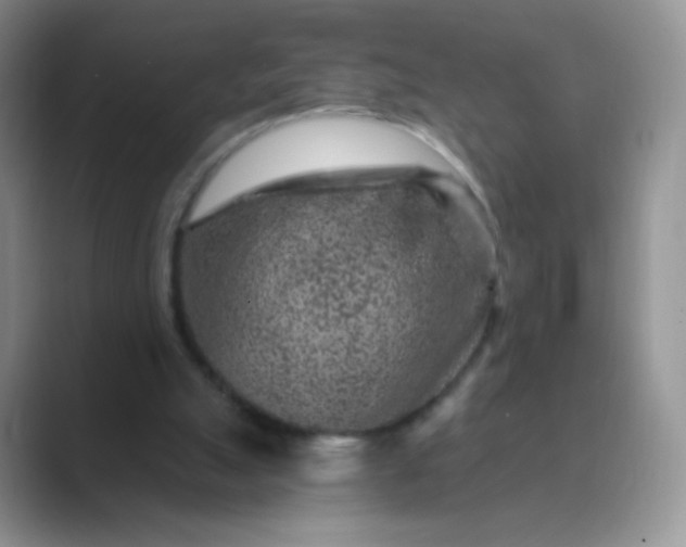 X0000089700055200707051651