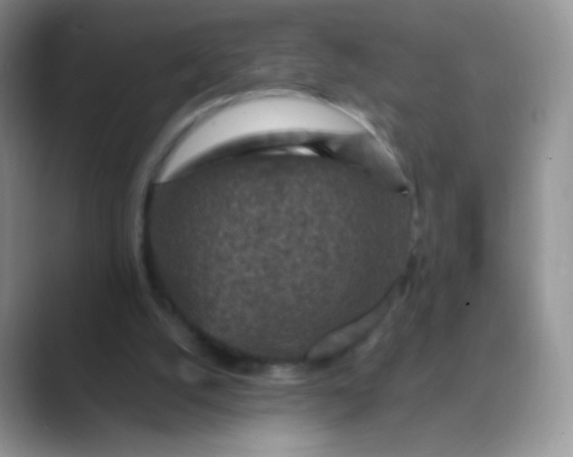 X0000089700056200707051651