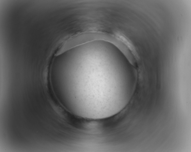 X0000089700058200707051651