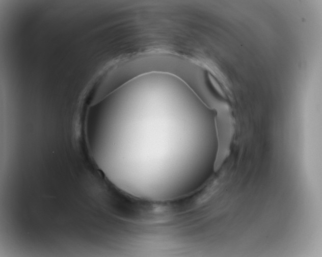 X0000089700060200707051651