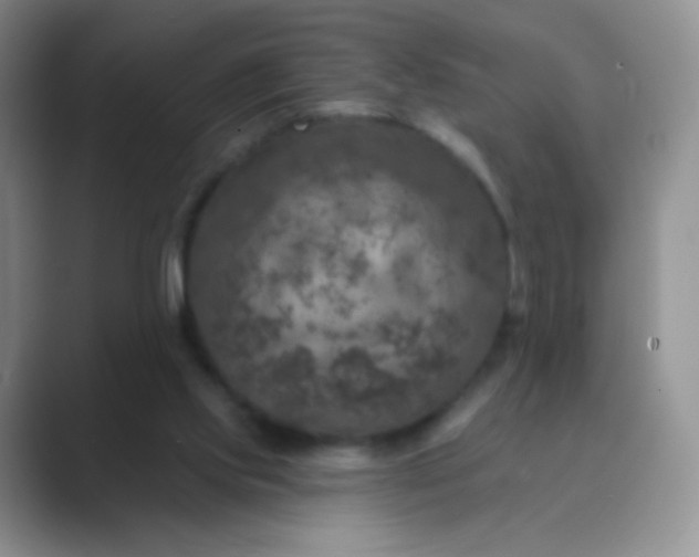 X0000089700061200707051651