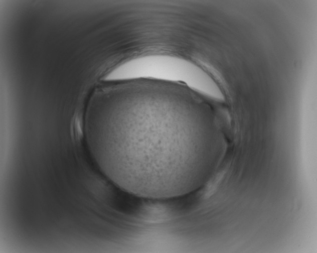 X0000089700062200707051651