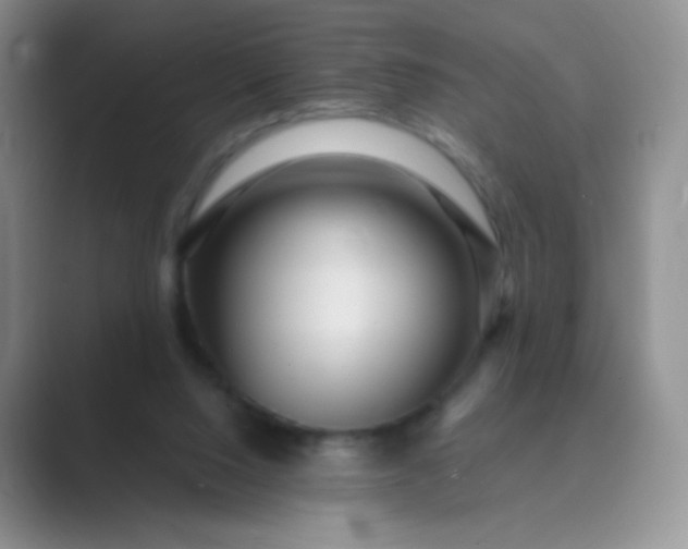 X0000089700064200707051651