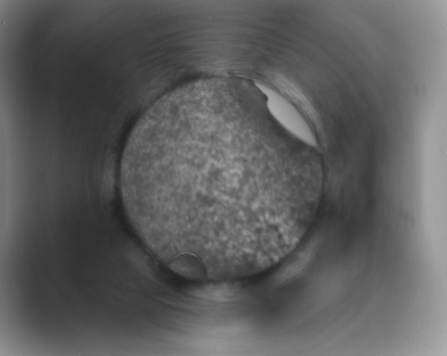 X0000089700065200707051651