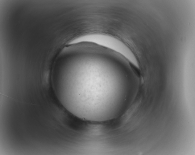 X0000089700066200707051651