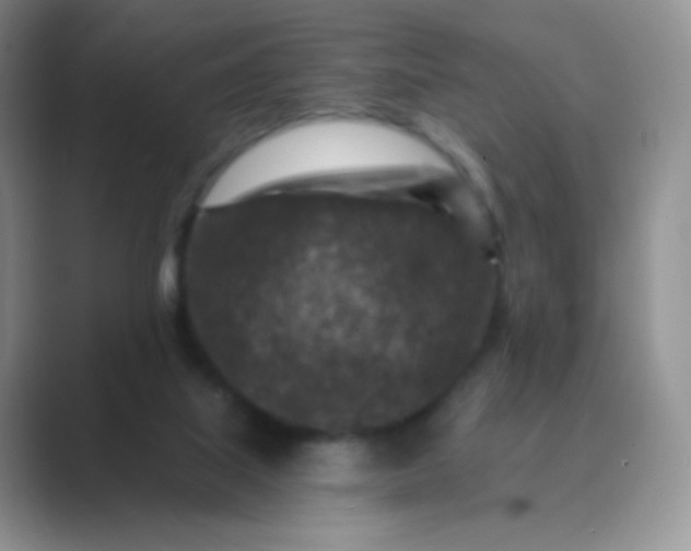 X0000089700067200707051651