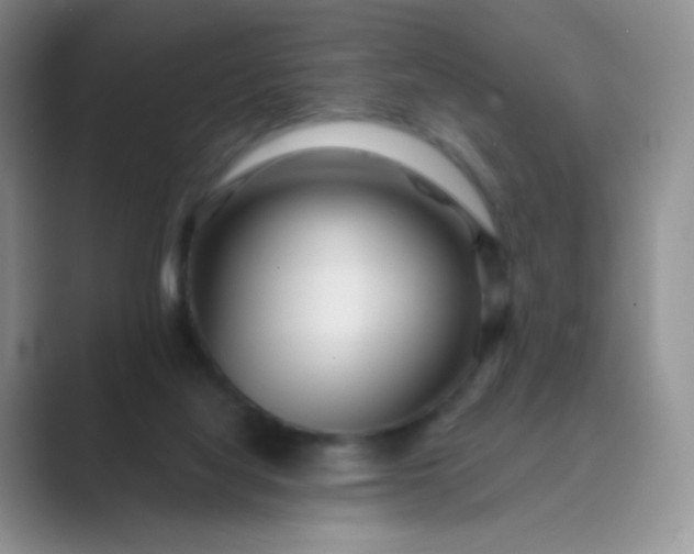 X0000089700068200707051651