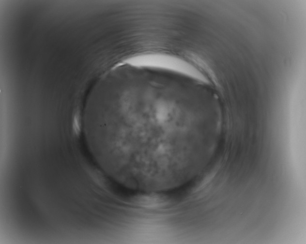 X0000089700069200707051651