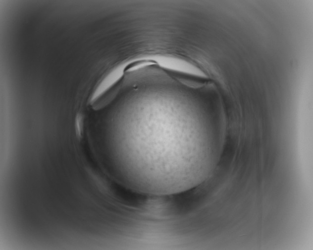 X0000089700070200707051651