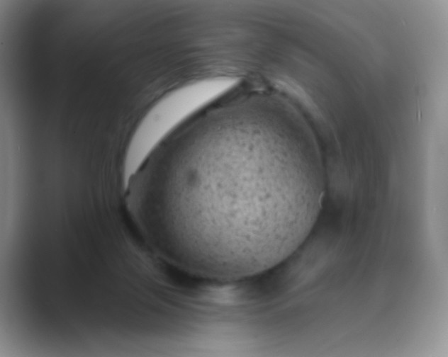 X0000089700071200707051651