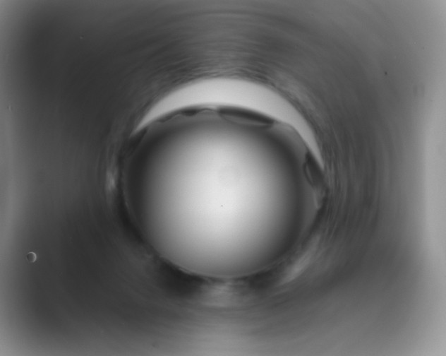 X0000089700072200707051651