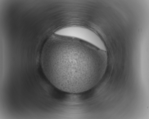 X0000089700073200707051651