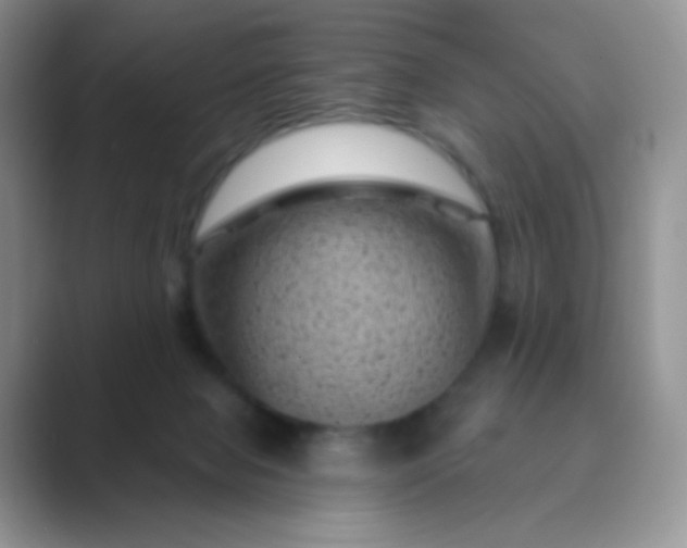 X0000089700077200707051651