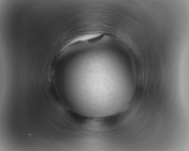 X0000089700078200707051651