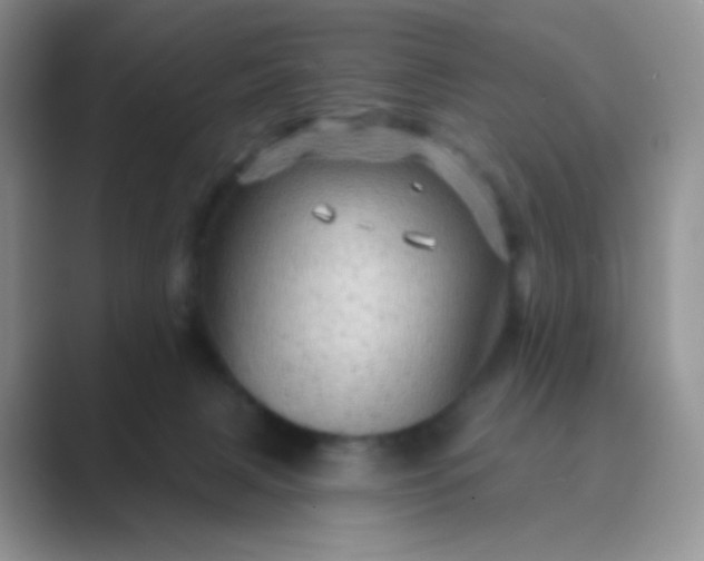 X0000089700079200707051651