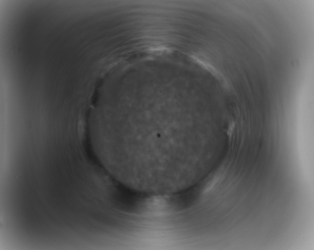 X0000089700080200707051651