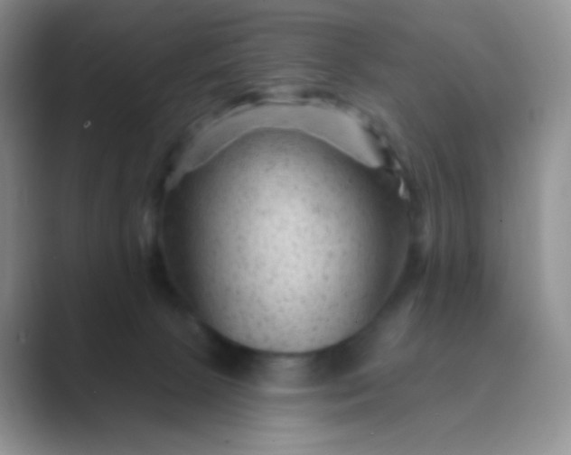 X0000089700081200707051651