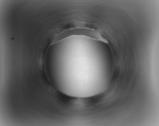 X0000089700082200707051651