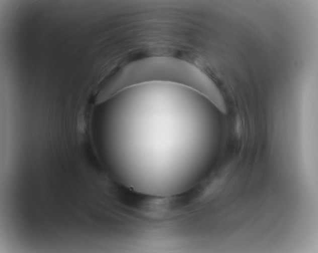 X0000089700084200707051651