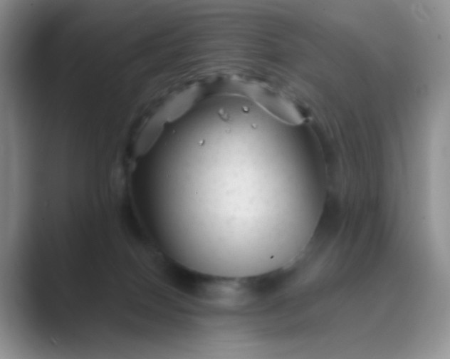 X0000089700086200707051651