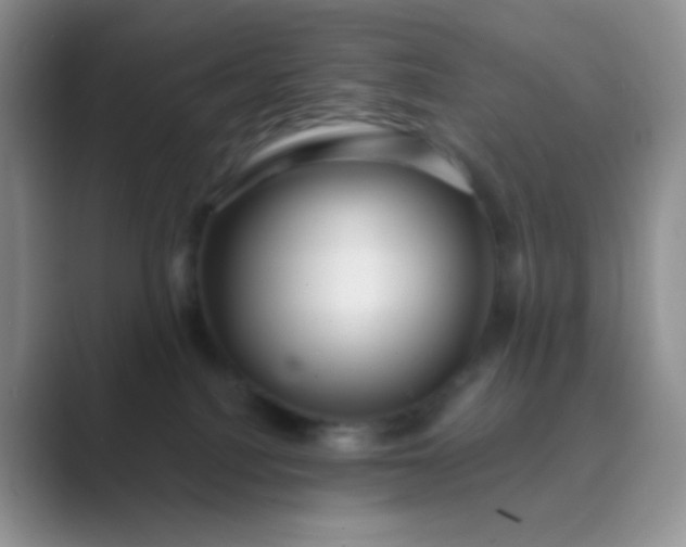 X0000089700088200707051651