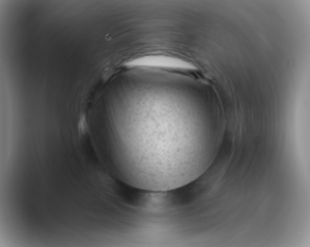 X0000089700089200707051651