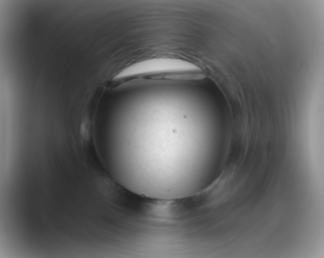 X0000089700090200707051651