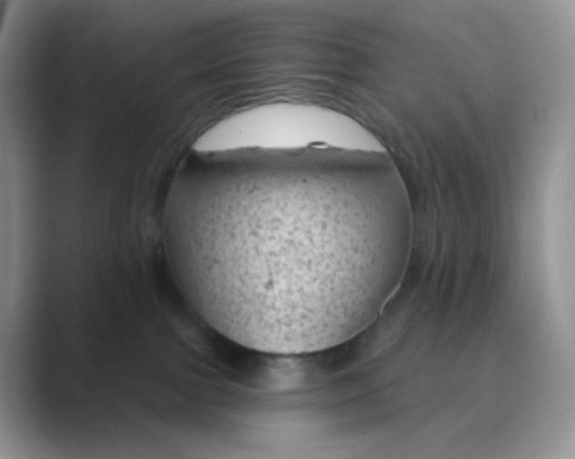 X0000089700091200707051651