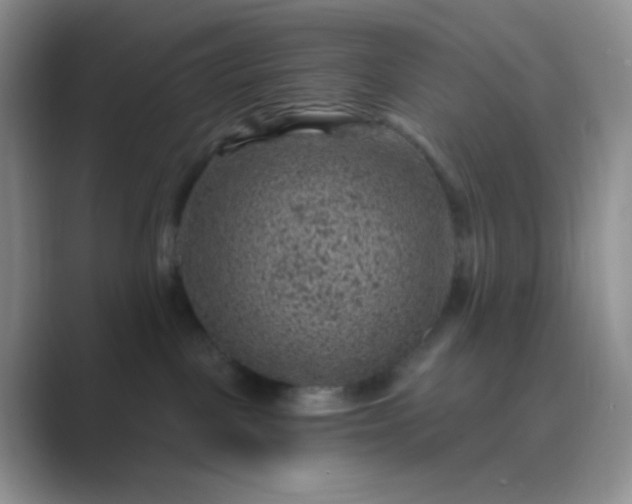 X0000089700093200707051651