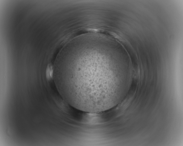 X0000089700095200707051651