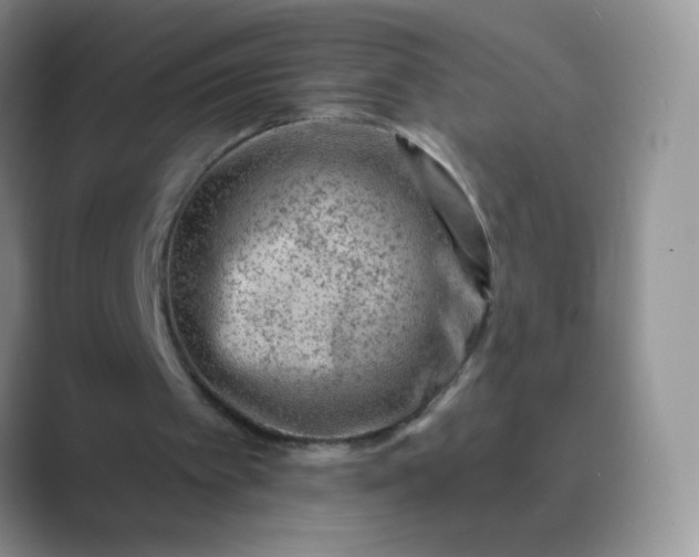 X0000089700097200707051651