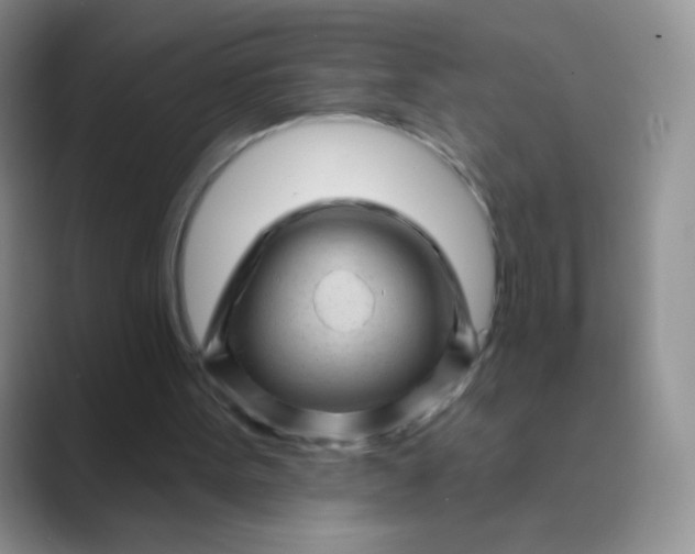 X0000089700099200707051651