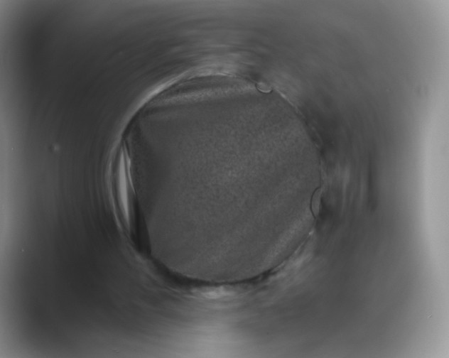 X0000089700100200707051651