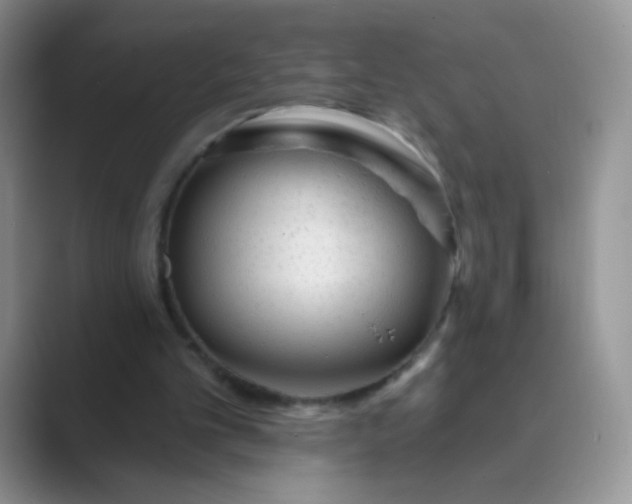 X0000089700101200707051651