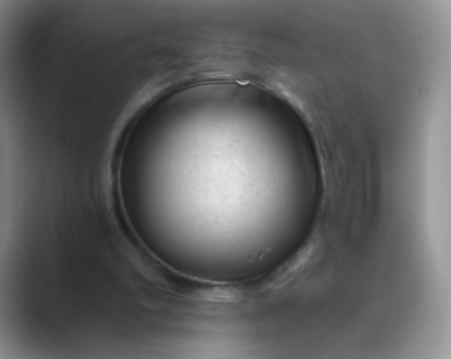 X0000089700102200707051651