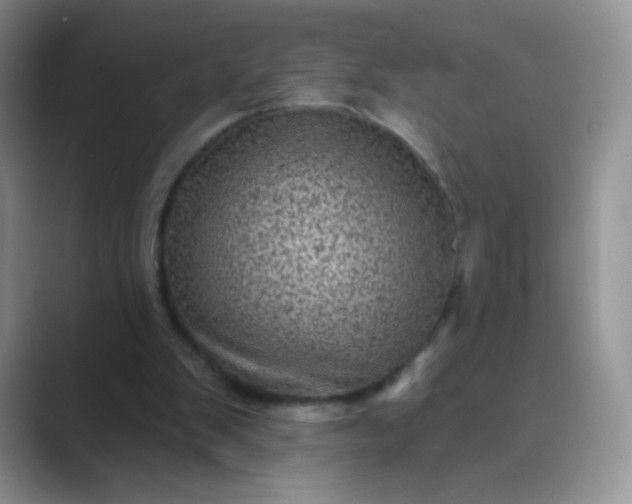 X0000089700103200707051651