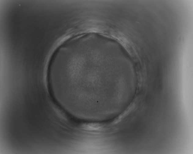 X0000089700104200707051651