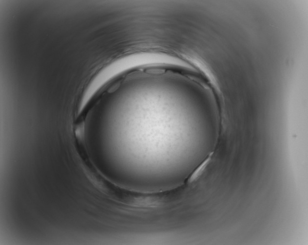 X0000089700105200707051651