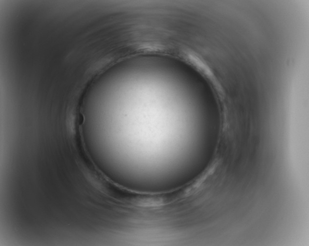 X0000089700106200707051651