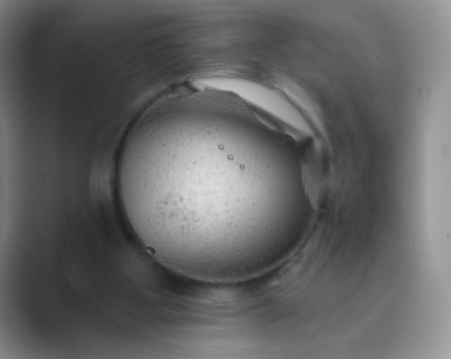 X0000089700107200707051651